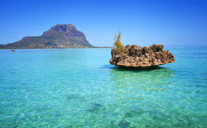 6N 7D Mauritius Honeymoon Tour With Catamaran Cruise
