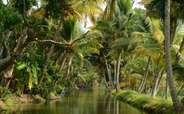 Take a fun boat ride on the Kerala backwaters as part of your holiday package