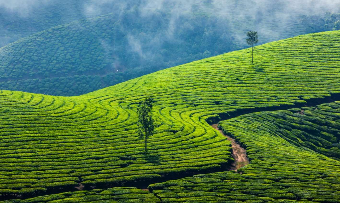 2 Nights 3 Days Munnar Kerala Tour Package From Bangalore