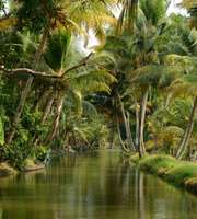 Scenic Kerala Holiday Package 