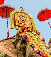 Mesmerizing Kerala Holiday: Weekend in Munnar & Thekkady
