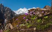 Enjoy the beautiful views of the Yumthang valley in the Northeast