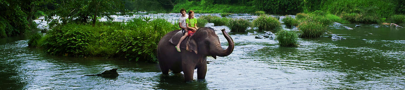 Get some for some fun-filled moments on your Sri Lanka holiday