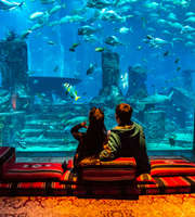 Luxe Palm Atlantis Dubai Honeymoon Package