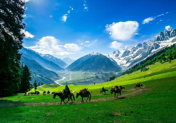 kashmir tour packages from katra