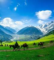 Kashmir Family Tour Package From Katra