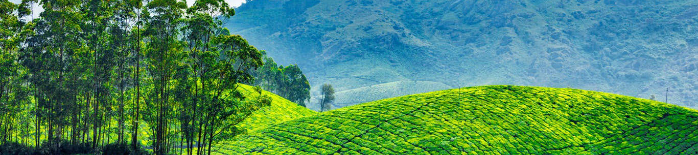 Get set for amazing moments on your trip to Kerala