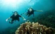 Couple enjoying scuba diving in Andaman