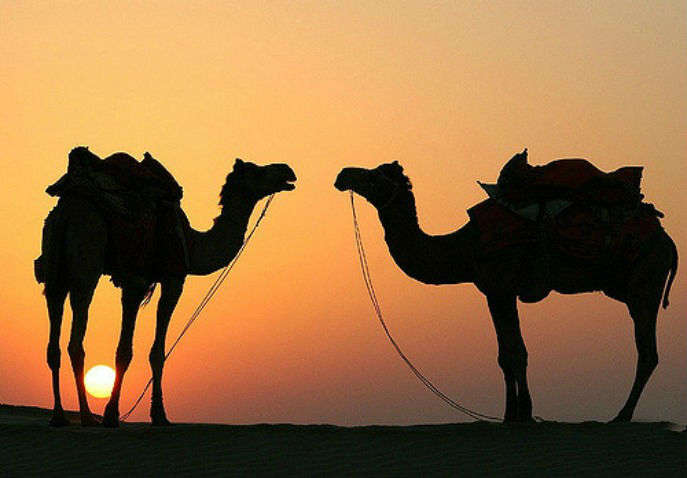 Jaipur Tour Package For 2 Nights and 3 Days