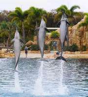 Queensland Family Package For 9 Nights 10 Days