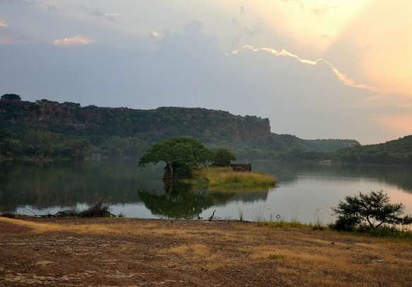 Explore the charismatic wilderness of Ranthambore