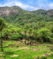 Mount Abu Family Holiday For 3 Days & 2 Nights
