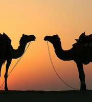 Rajasthan Tour Package For 9 Nights 10 Days