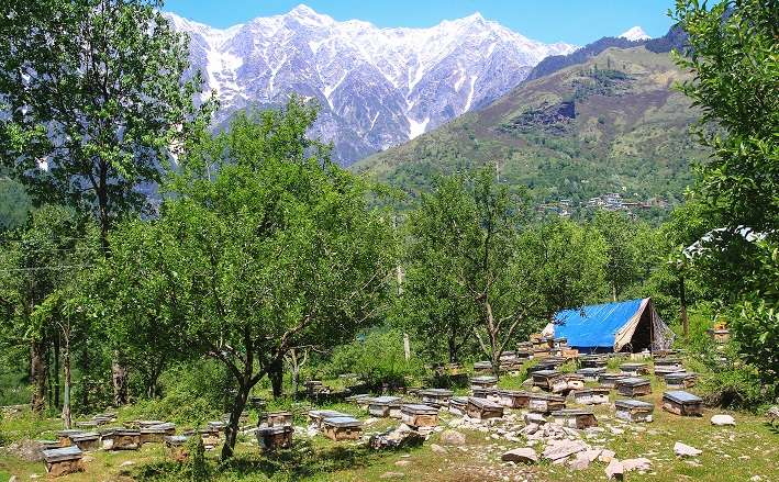 Manali Luxury Tour Package For 4 Nights 5 Days
