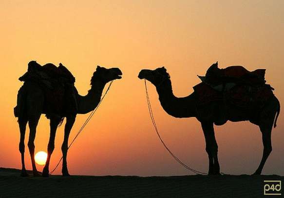 5 Nights 6 Days Rajasthan Historical Tour Package