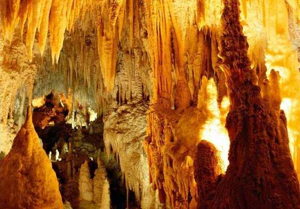 Capture amazing beauty of Waitomo Glowworm Caves