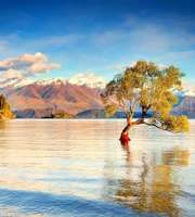 New Zealand 10 Days Tour Packages With Flight
