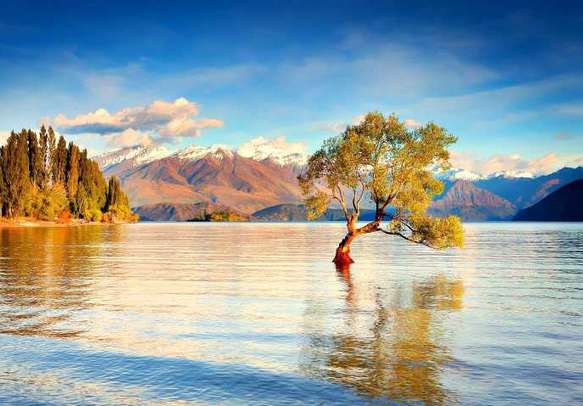 Lake Wanaka has many scenic attractions that you can explore.