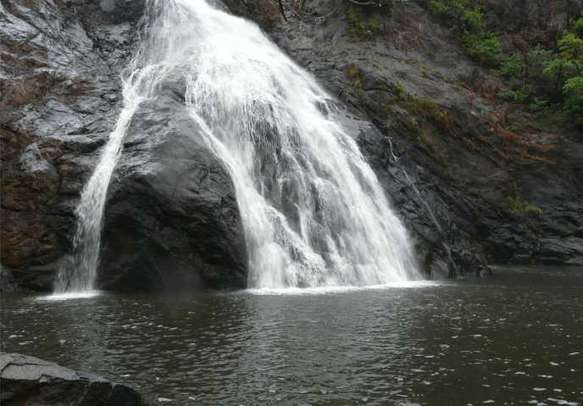 Witness the breathtaking Dudhsagar Waterfalls
