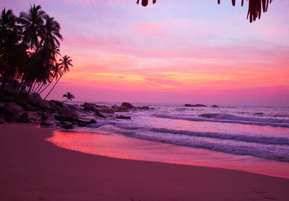 Take pleasure in your blissful togetherness on serene beaches in Goa