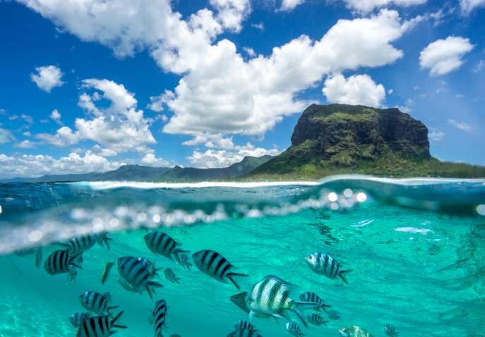 Refreshing Mauritius Trip