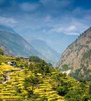 Hilly Escapades: Darjeeling, Kalimpong & Gangtok Honeymoon Tour