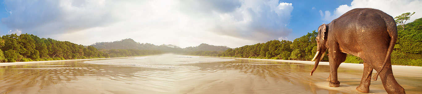 The scenic Andaman beach