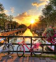 Phenomenal Amsterdam 4 Days Trip