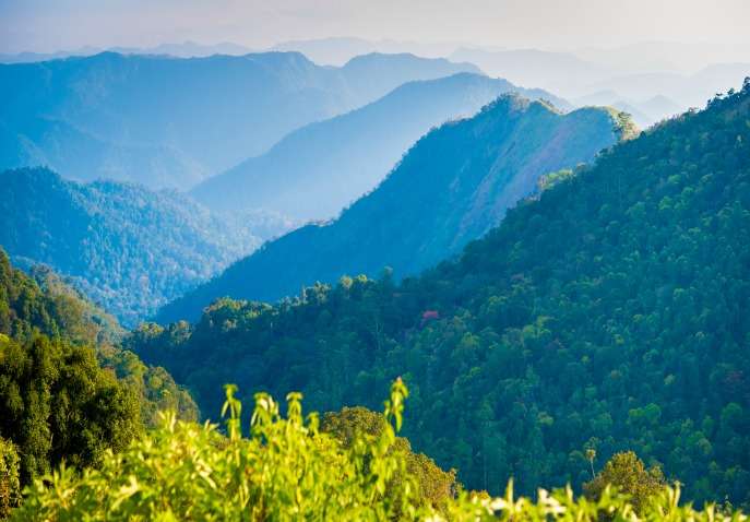 Exlpore Munnar with 2 Nights 3 Days Tour Package