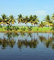 Alleppey Tour Package For 1 Night 2 Days