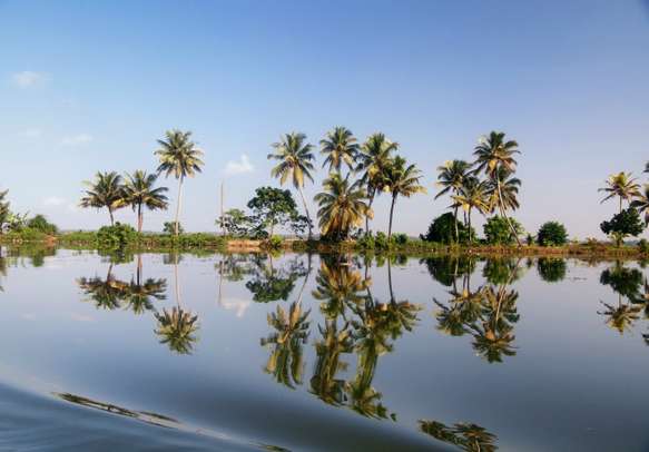 The serene Vembanad Lake
