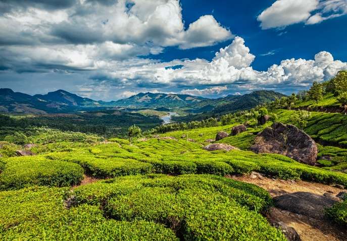 Munnar Tour Package From Mumbai - Munnar Holiday Trip From Mumbai