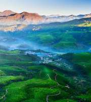 Captivating Munnar Family Package From Coimbatore