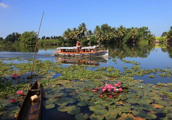 Have fun traversing the backwaters of Alleppey
