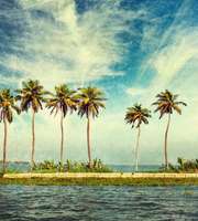 Alleppey Tour Package From Chennai