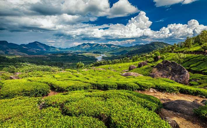 Book An Unforgettable Trip To Kerala