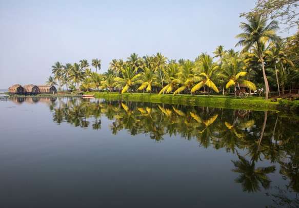 Coconut Trees and Houseboats on the Backwaters of Kerala.