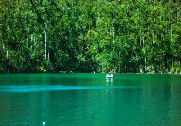 A beautiful lake in Munnar
