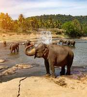 3 Days Tour Package To Sri Lanka With Airfare