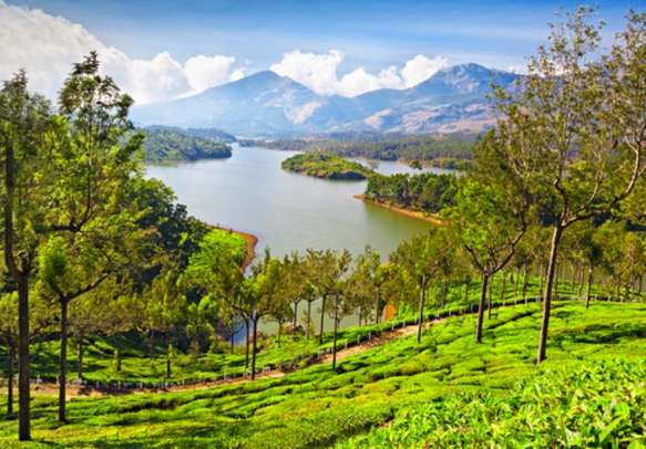 The soothing tea slopes of Munnar