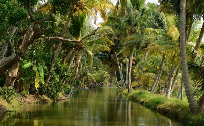 An Adventurous Trip To Kerala For Nature Lovers