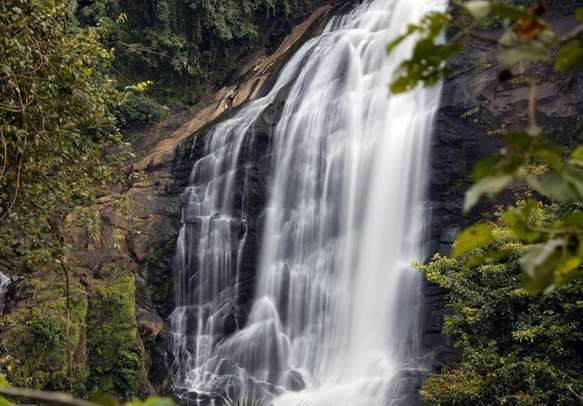 The free flowing Cheeyappara Falls are absolutely amazing