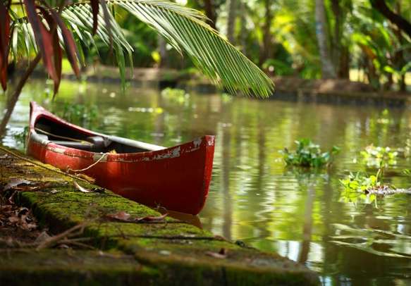 Scenic backwaters of Alleppey