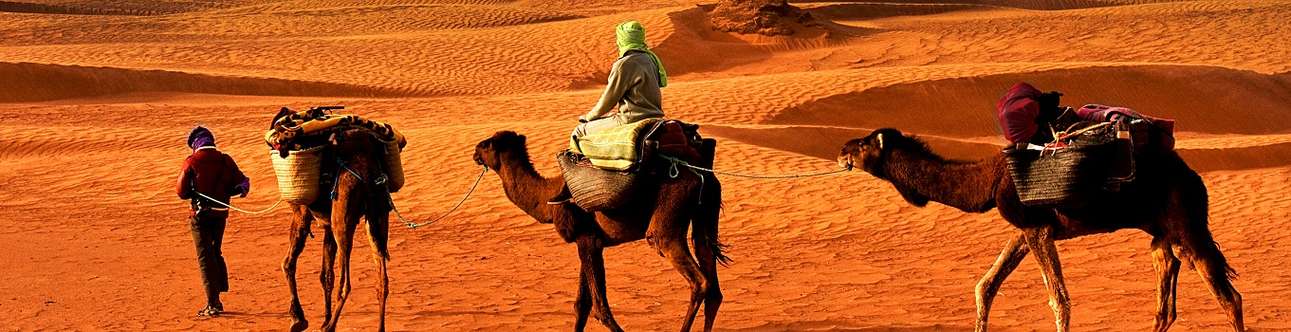Jaisalmer Desert Camel Safari