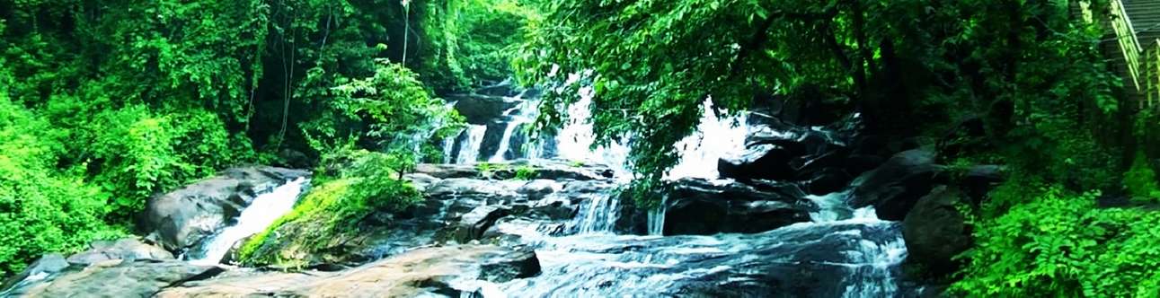 The beautiful Aruvikkuzhi waterfalls in Kumarakom