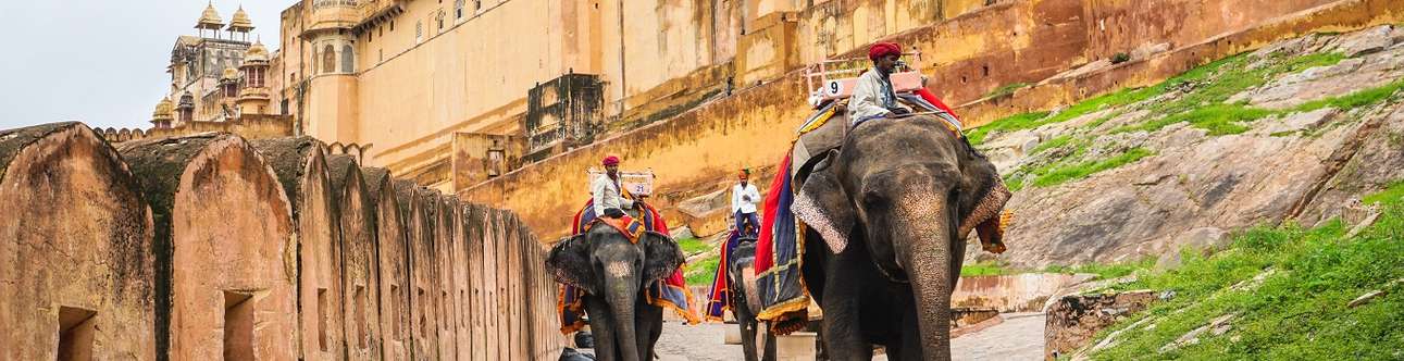 Enjoy a different view as you ride an elephant in Jaipur