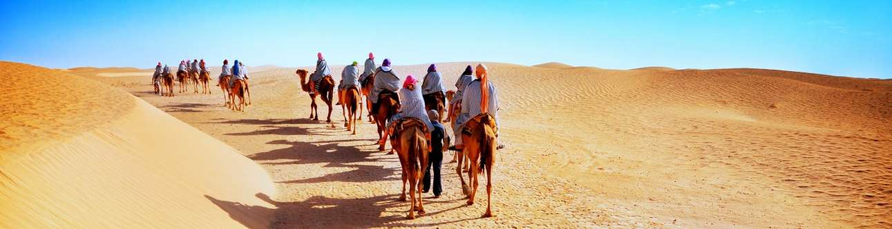 Enjoy a journey into the sand dunes of Jaisalmer on Camel back