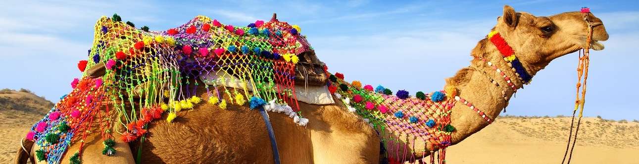A vibrant atmosphere to attract you at Bikaner Camel Festival