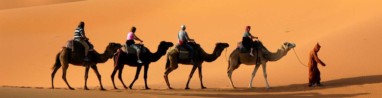 Camel Safari amidst the glorious Sam Sand Dunes