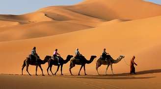 Camel Safari in the great Indian desert